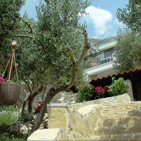 Amare Villa *